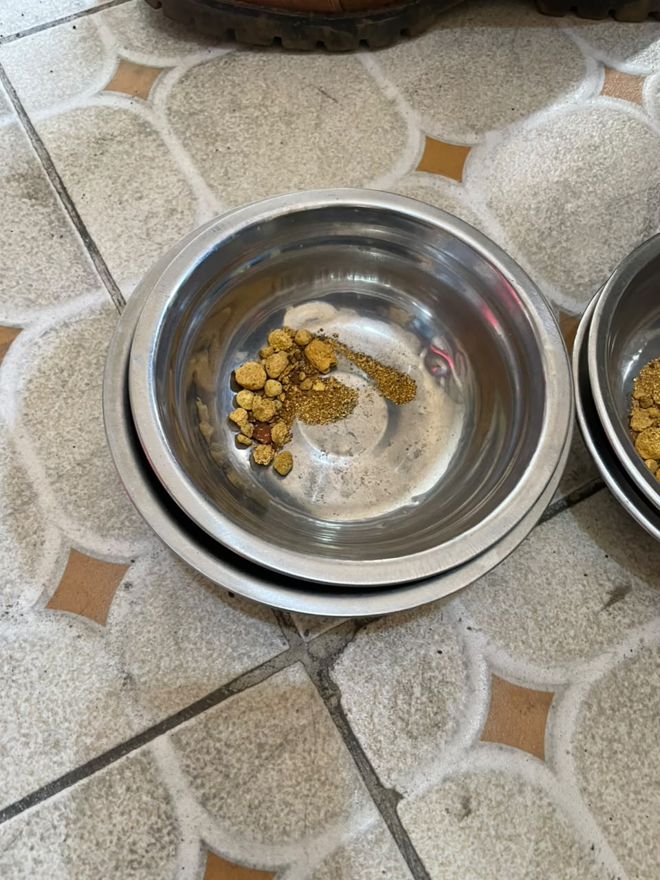 Coarse gold nuggets and a trail of fine gold dust in a stainless pan
