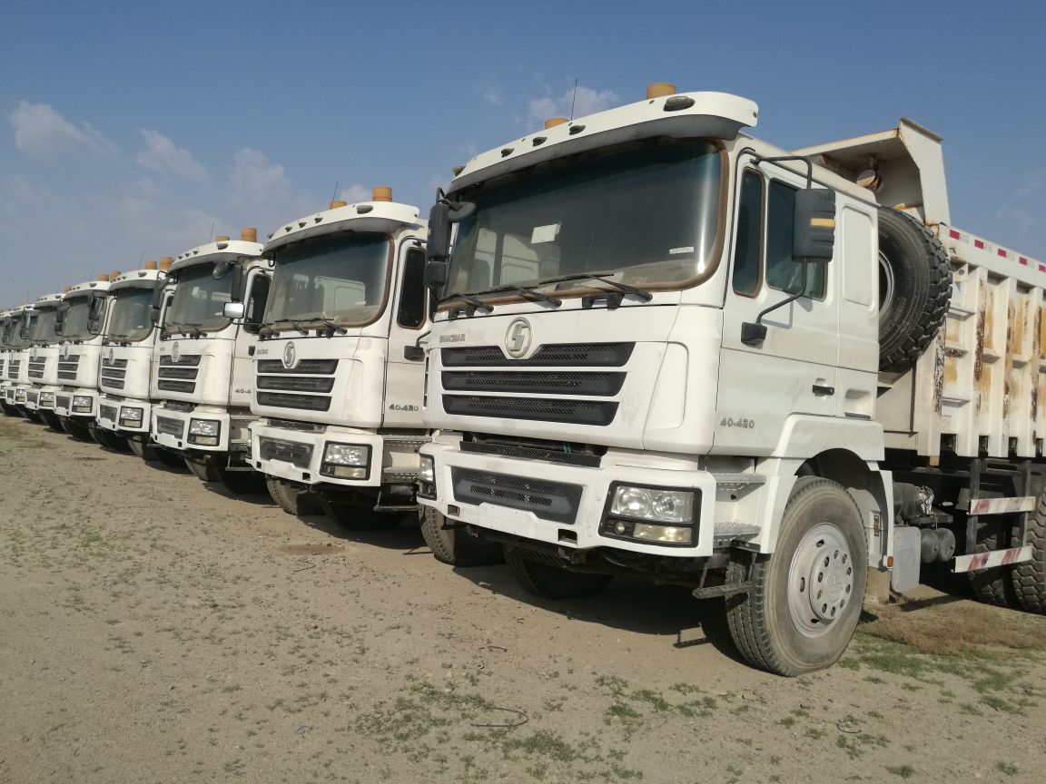 Row of white Shacman 40.430 tipper haul trucks lined up in a yard