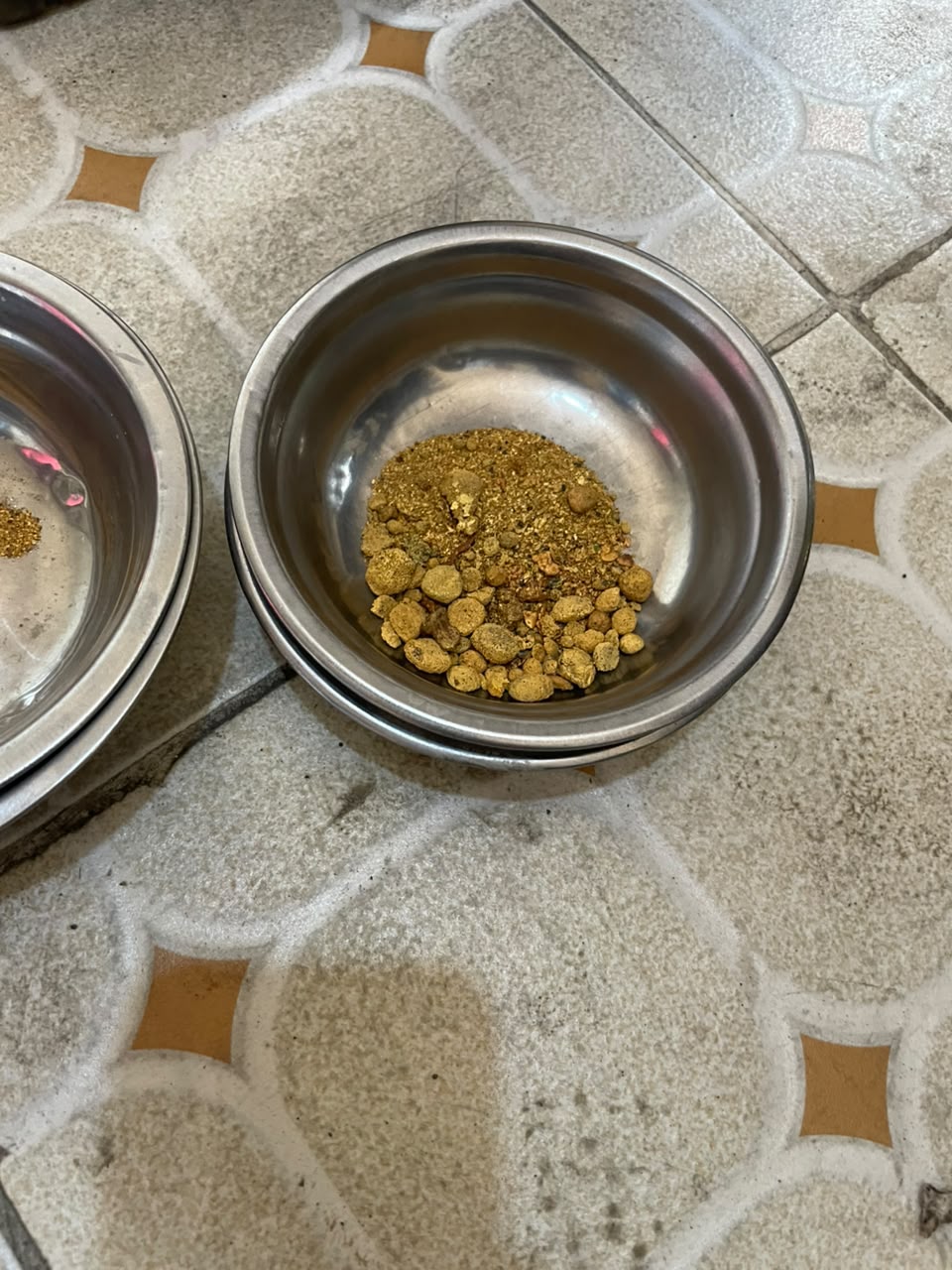 Close view of coarse gold nuggets and fine gold dust concentrated in a stainless pan